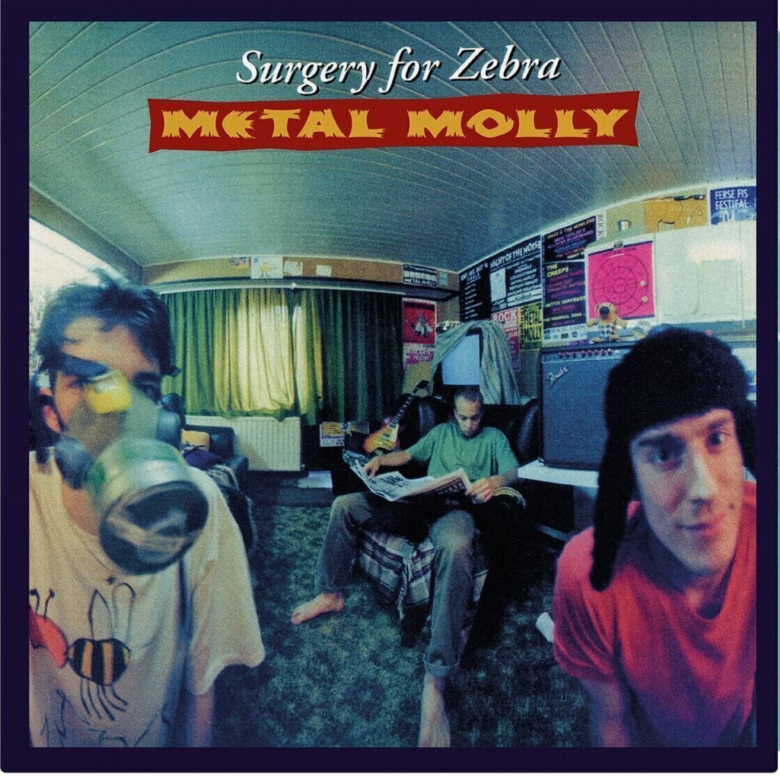 LP ploča Metal Molly - Surgery For Zebra (Reissue) (Turquoise Coloured) (180 g) (LP)