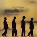 Echo & The Bunnymen - Songs To Learn & Sing (Black/Yellow Coloured) (140 g) (LP)