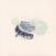 Vinylplade Gregory Alan Isakov - That Sea / The Gambler (Seafoam Green Coloured) (LP)