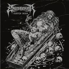 Disc de vinil Endseeker - Coffin Born (LP)