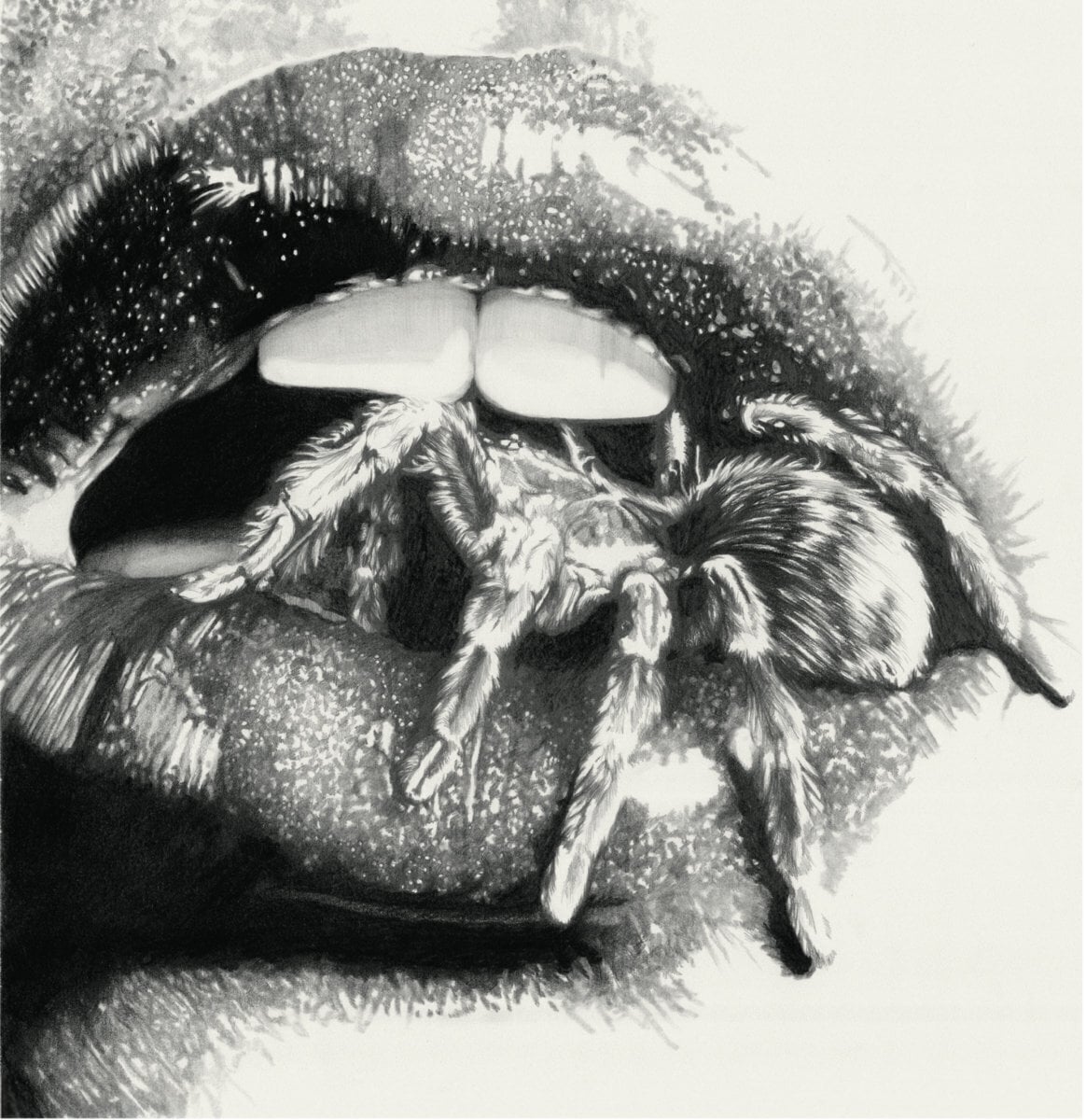 LP plošča Masheena - Let The Spiders In (LP)