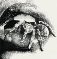 LP plošča Masheena - Let The Spiders In (LP)