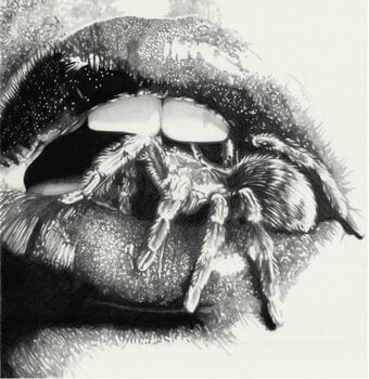 LP plošča Masheena - Let The Spiders In (LP) - 1