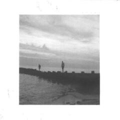 Vinila plate Soars - Soars (LP)