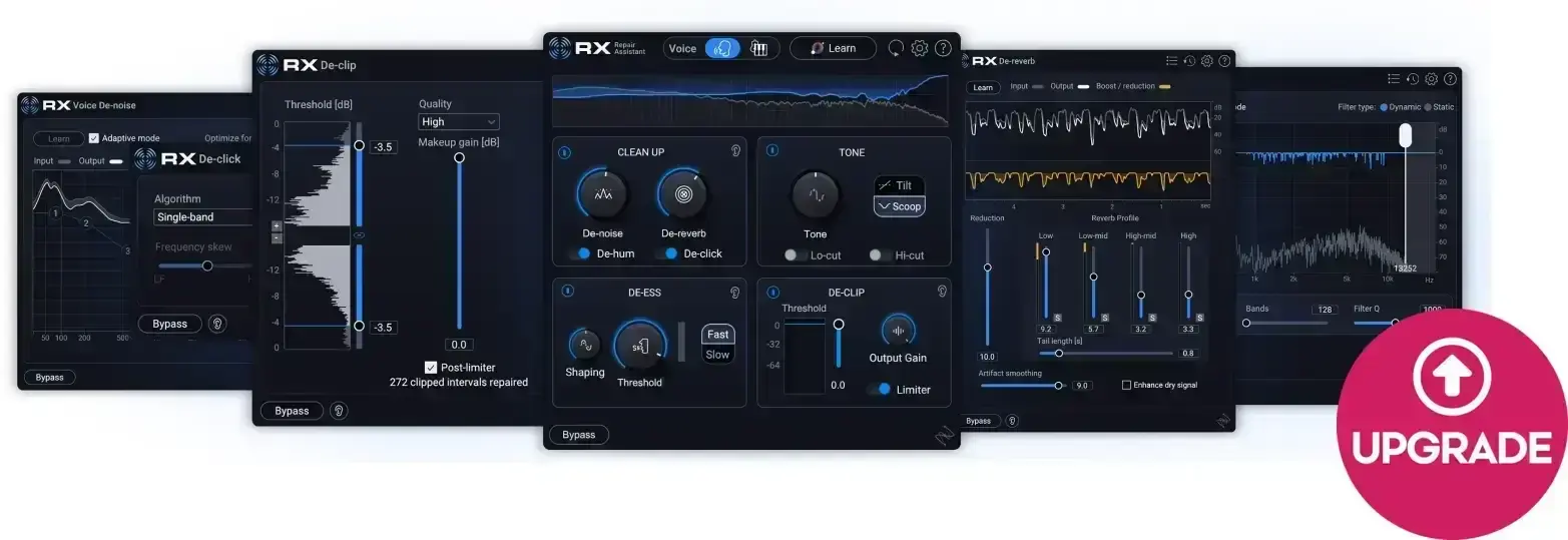 Update / Upgrade / Expansion iZotope RX 12 Adv: UPG from RX Elements or Elements Suite (Digitální produkt)