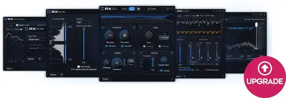 Update / Upgrade / Expansion iZotope RX 12 Adv: UPG from RX Elements or Elements Suite (Digitální produkt) - 1
