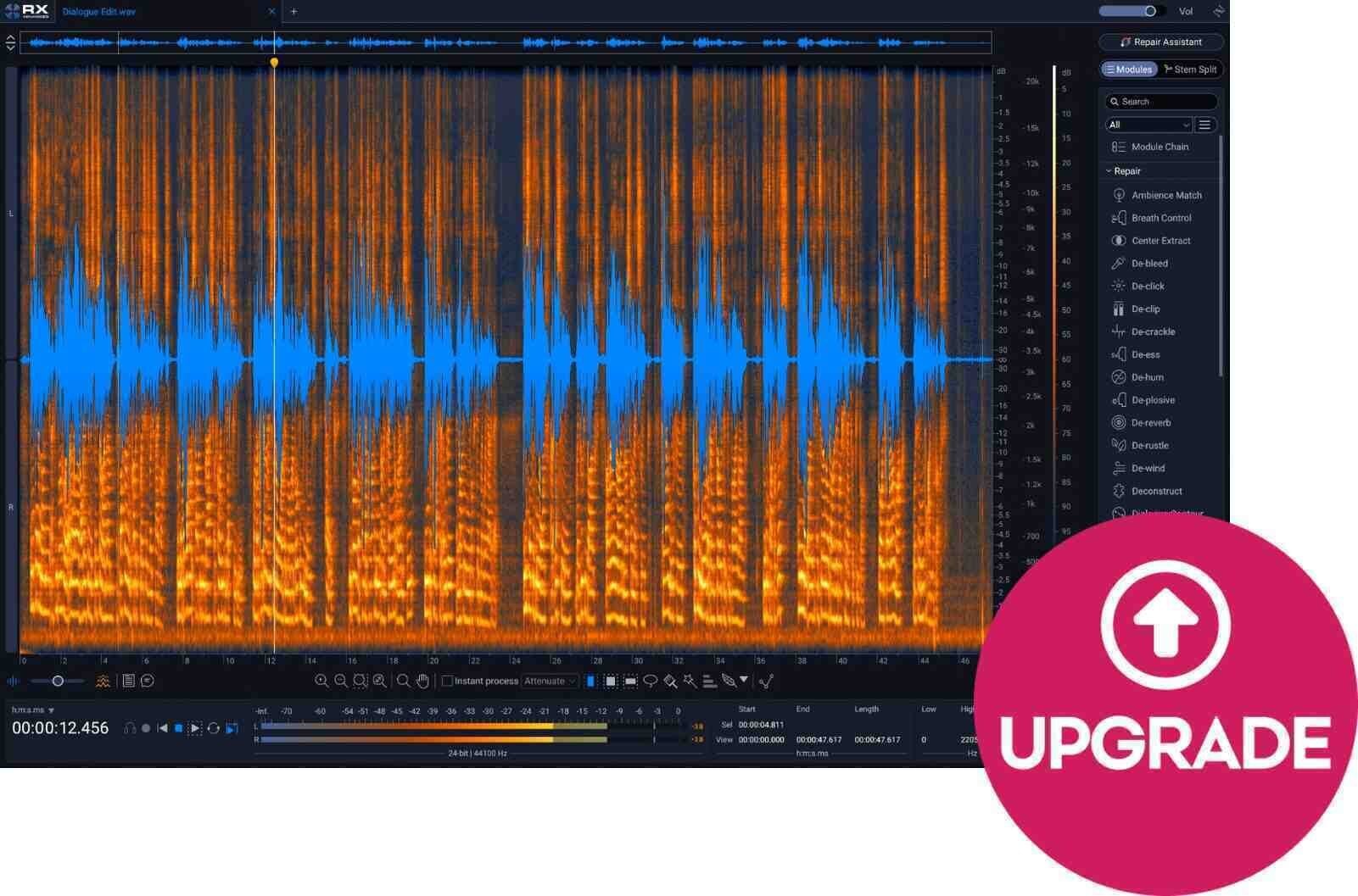 Update / Upgrade / Expansion iZotope RX 12 Advanced: Update from RX 11 Advanced (Prodotto digitale)