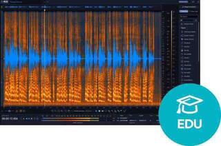 Studio-Effekt-Plugin iZotope RX 12 Advanced EDU (Digitales Produkt)