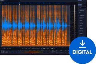 Software Plug-In FX Processor iZotope RX 12 Advanced (Digital product)
