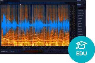 Studio-Effekt-Plugin iZotope RX 12 Standard EDU (Digitales Produkt)