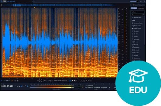 Plug-Ins Software e Processori Effetti iZotope RX 12 Standard EDU (Prodotto digitale) - 1