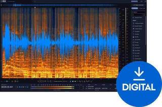 Studio-Effekt-Plugin iZotope RX 12 Standard (Digitales Produkt)
