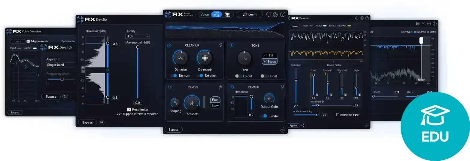 Plug-Ins Software e Processori Effetti iZotope RX 12 Elements EDU (Prodotto digitale)