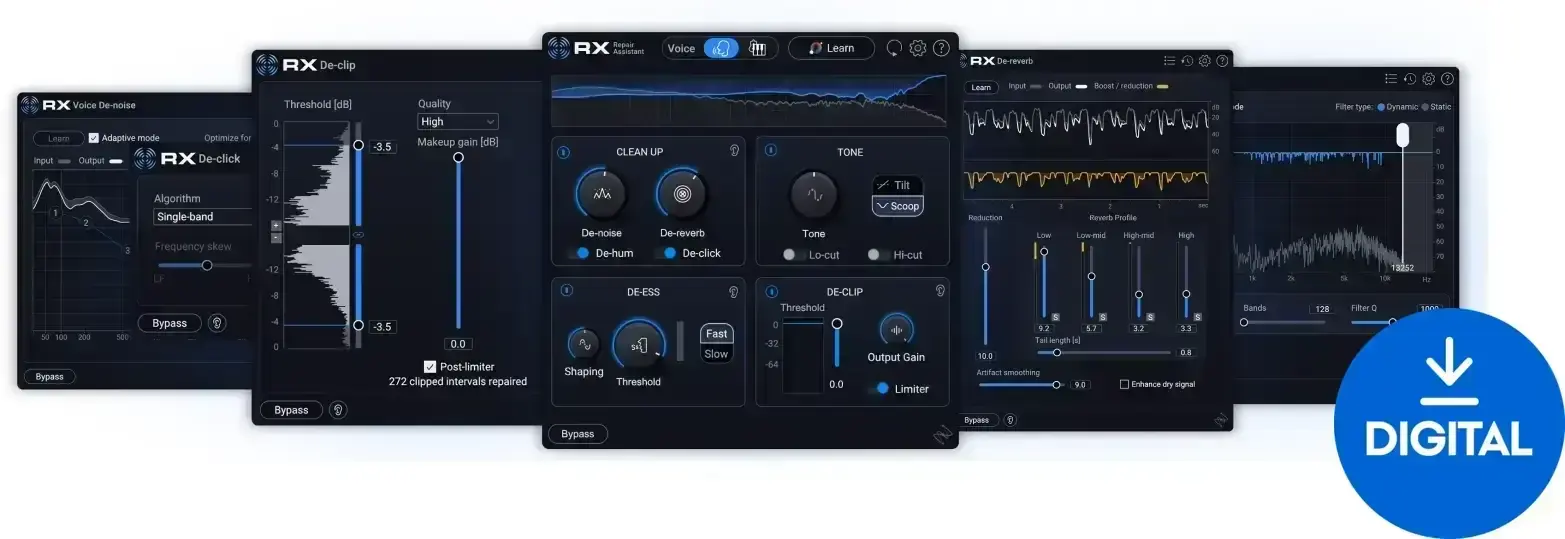 Plug-Ins Software e Processori Effetti iZotope RX 12 Elements (Prodotto digitale)