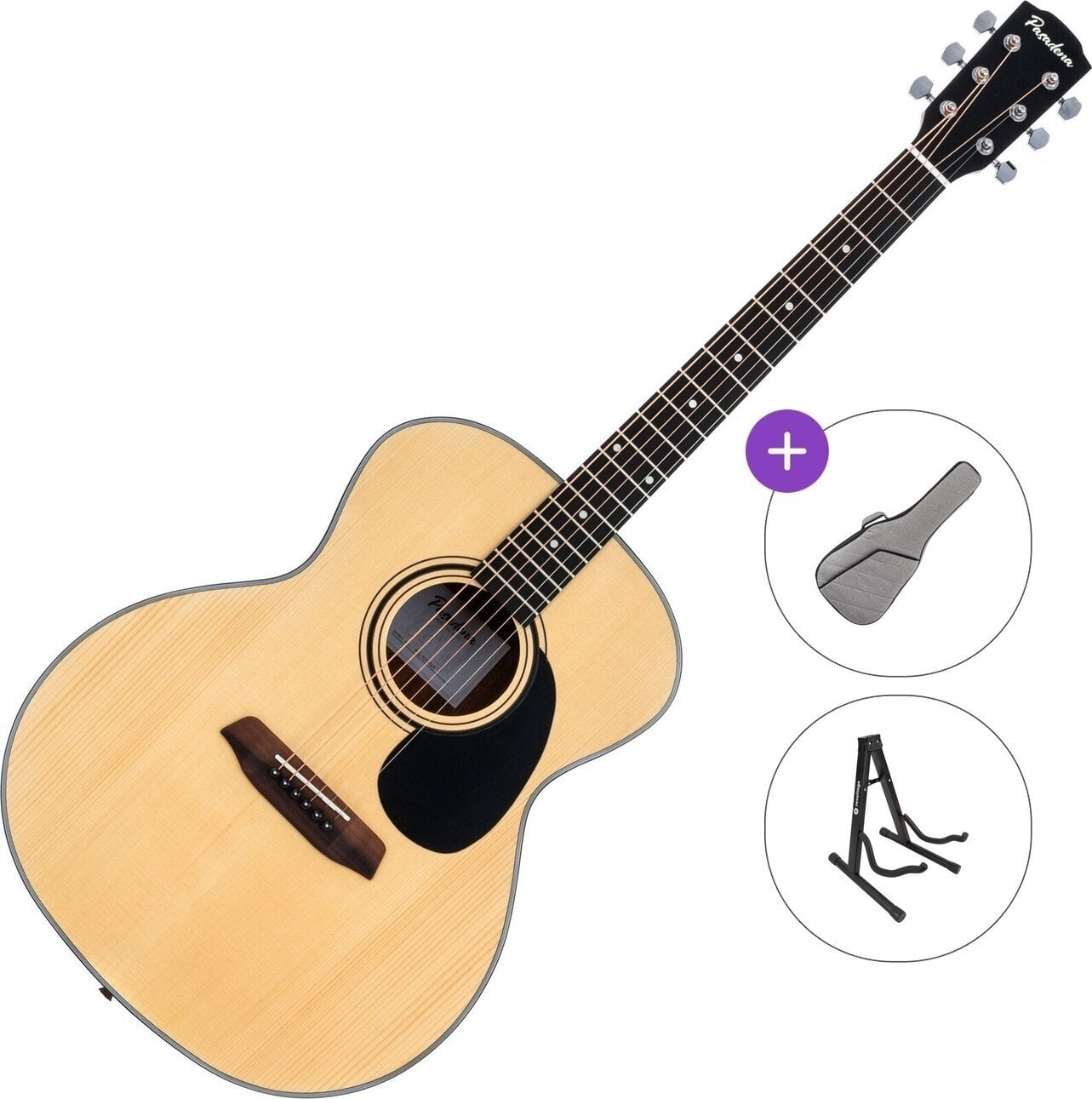 Jumbo Guitar Pasadena PG-100 Standard SET Natural Jumbo Guitar