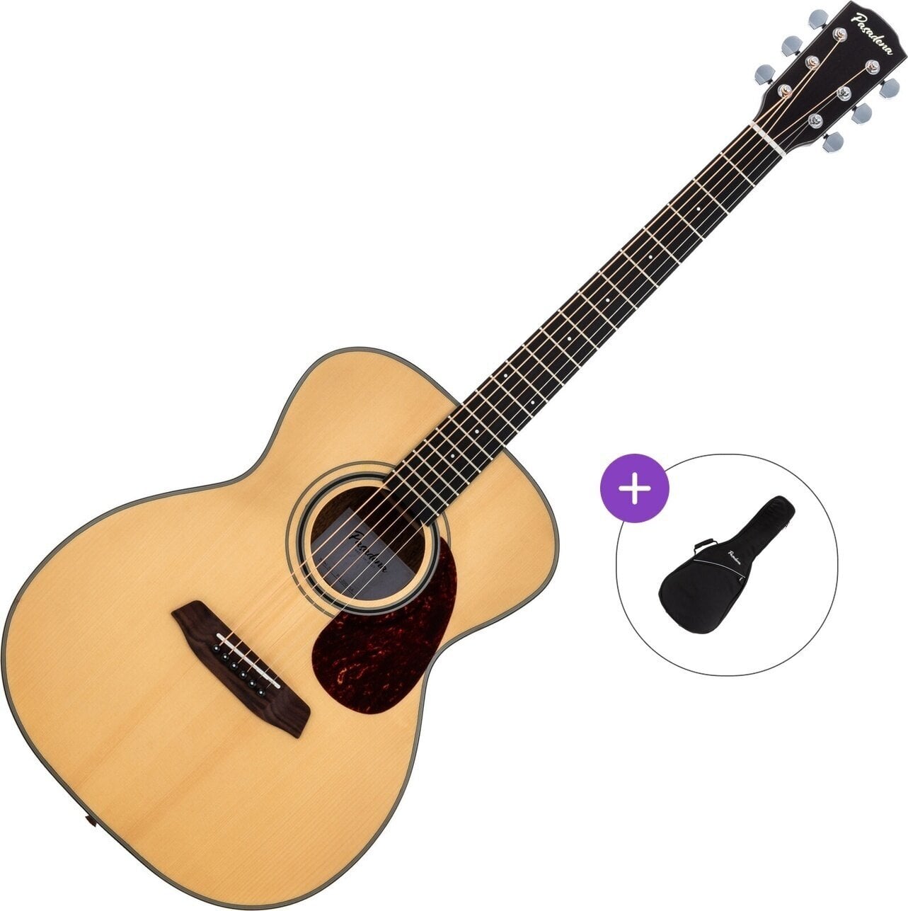 Jumbogitar Pasadena PG-200 Basic SET Natural Jumbogitar