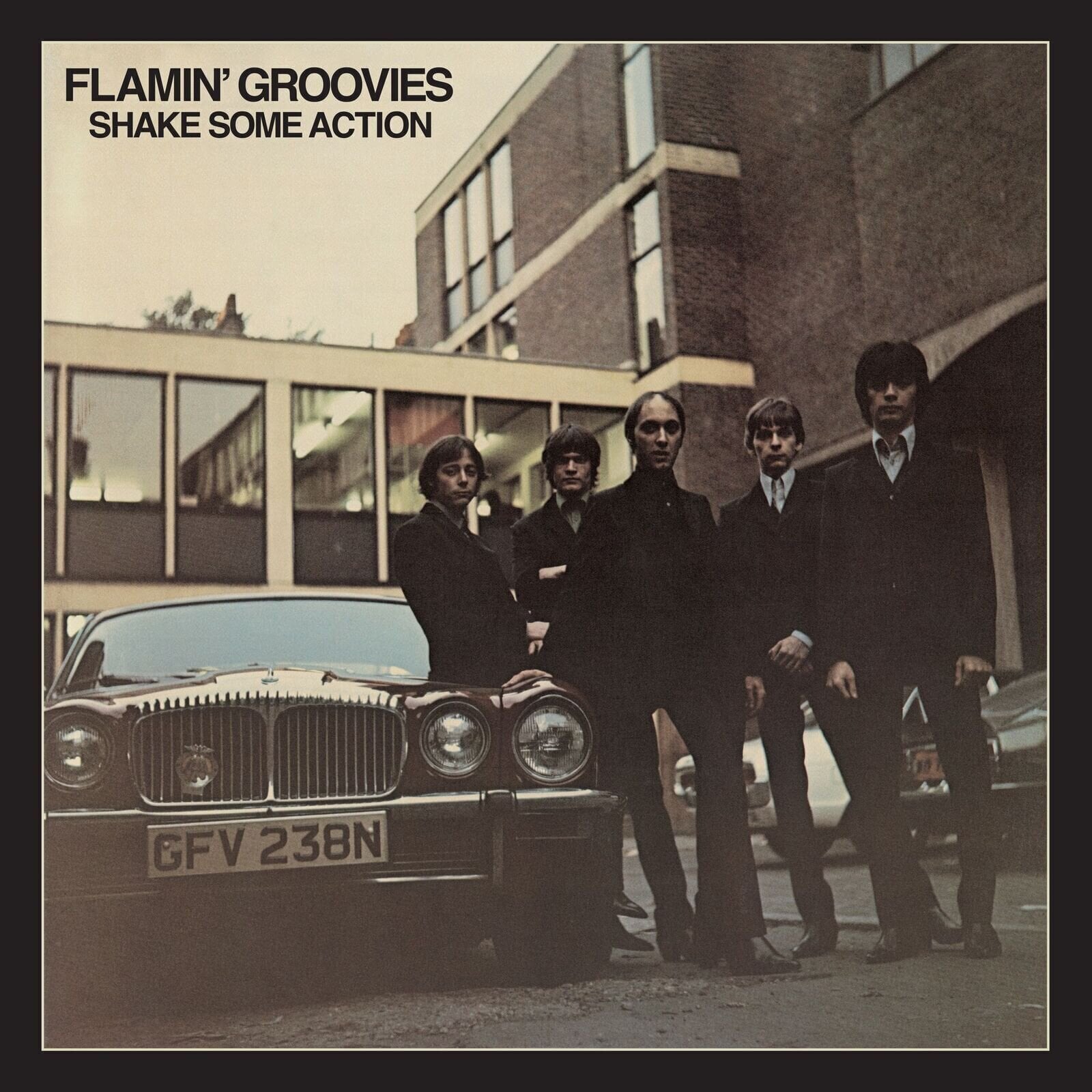 Musik-cd The Flamin' Groovies - Shake Some Action (2 CD)