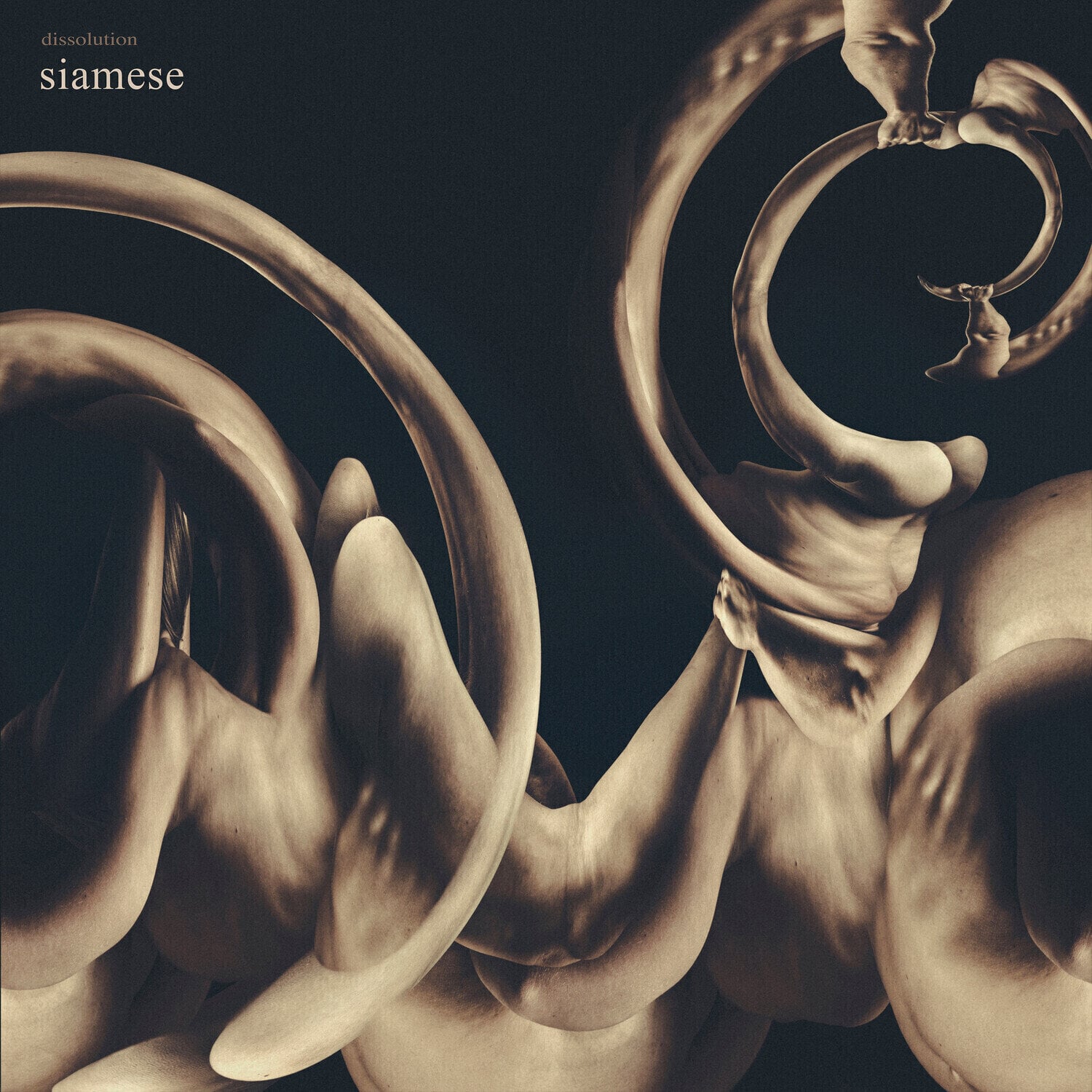 Vinyl Record Siamese - Dissolution (Gold Coloured) (LP)