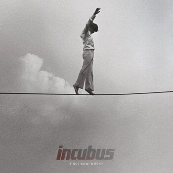 LP Incubus - If Not Now, When? (Reissue) (180 g) (2 LP) - 1