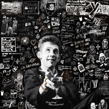 Muziek CD Shane MacGowan - 20th Century Paddy -The Songs Of Shane Macgowan (2 CD) - 1