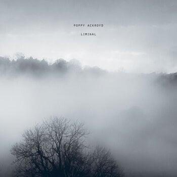 LP ploča Poppy Ackroyd - Liminal (LP) - 1
