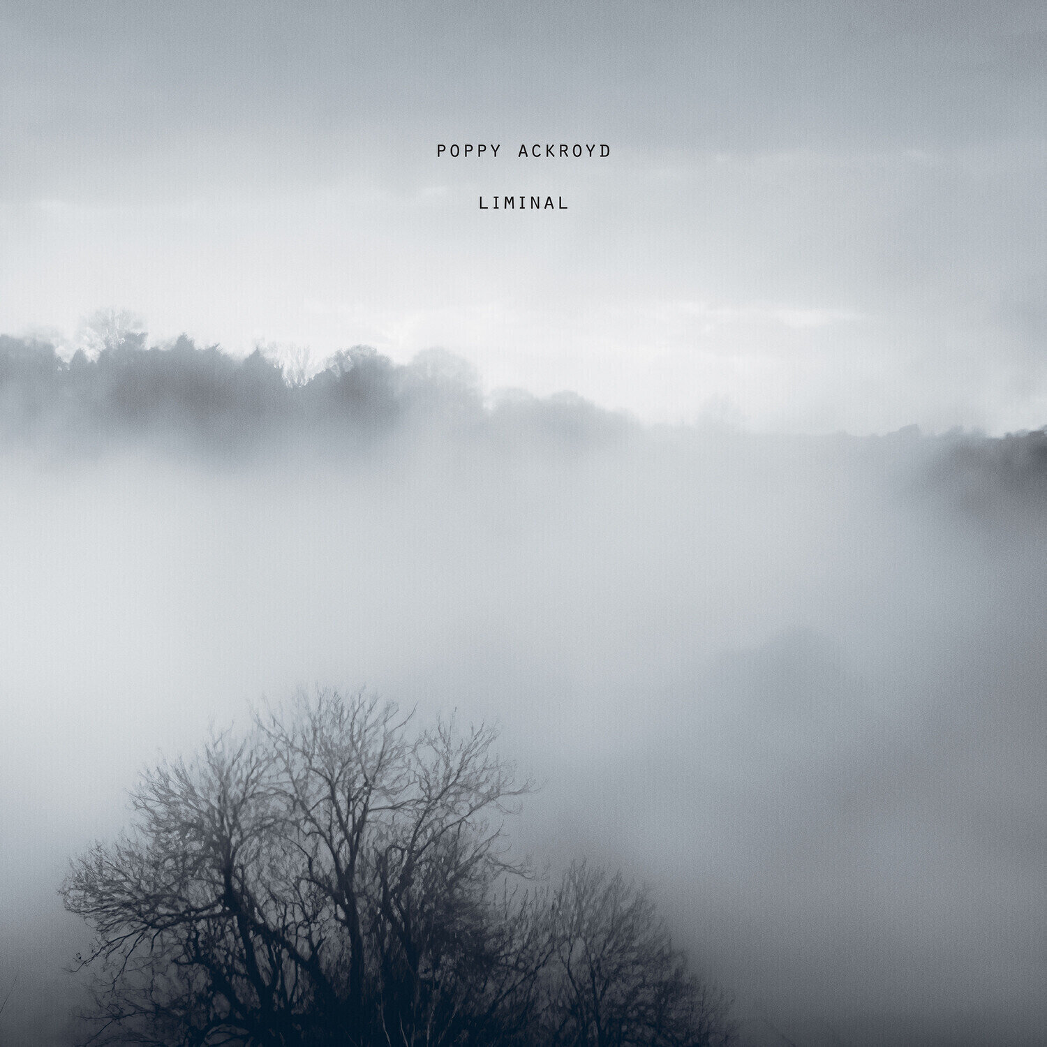Muziek CD Poppy Ackroyd - Liminal (CD)
