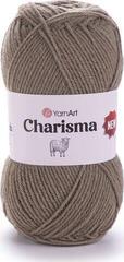 Kudumislõng Yarn Art Charisma 512 Kudumislõng