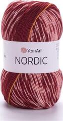 Kudumislõng Yarn Art Nordic 667 Kudumislõng