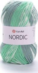 Kudumislõng Yarn Art Nordic 668 Kudumislõng