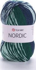 Kudumislõng Yarn Art Nordic 670 Kudumislõng