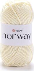 Kudumislõng Yarn Art Norway 851 Kudumislõng