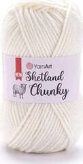 Pletacia priadza Yarn Art Shetland Chunky 601 Pletacia priadza
