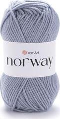 Kudumislõng Yarn Art Norway 3072 Kudumislõng