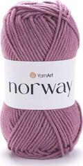 Kudumislõng Yarn Art Norway 3017 Kudumislõng