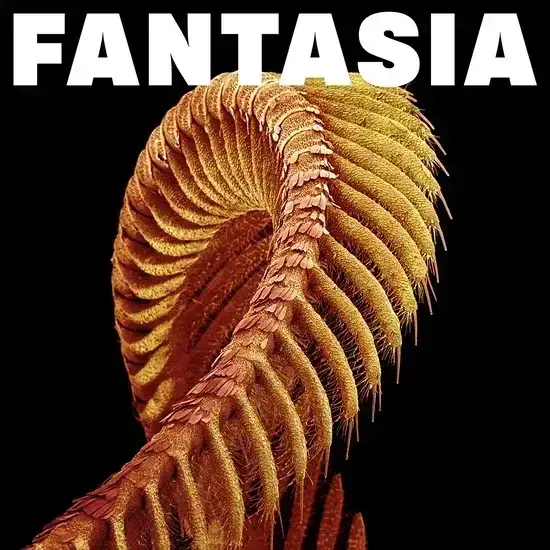 Vinyl Record Slift - Fantasia (Sparkle Starlight Coloured) (2 LP)