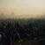 Schallplatte Turnover - Down On Earth (Gatefold Sleeve) (LP)