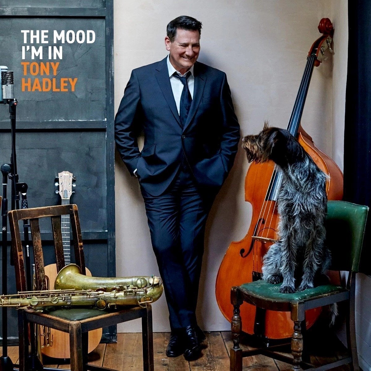 LP ploča Tony Hadley - The Mood I'm In (Clear Coloured) (LP)