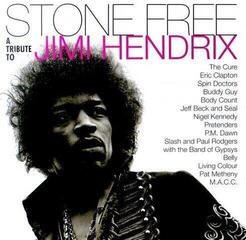 Vinyl Record Various Artists - Stone Free (Coloured) (2 LP)