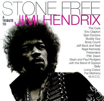 Vinyl Record Various Artists - Stone Free (Coloured) (2 LP) - 1