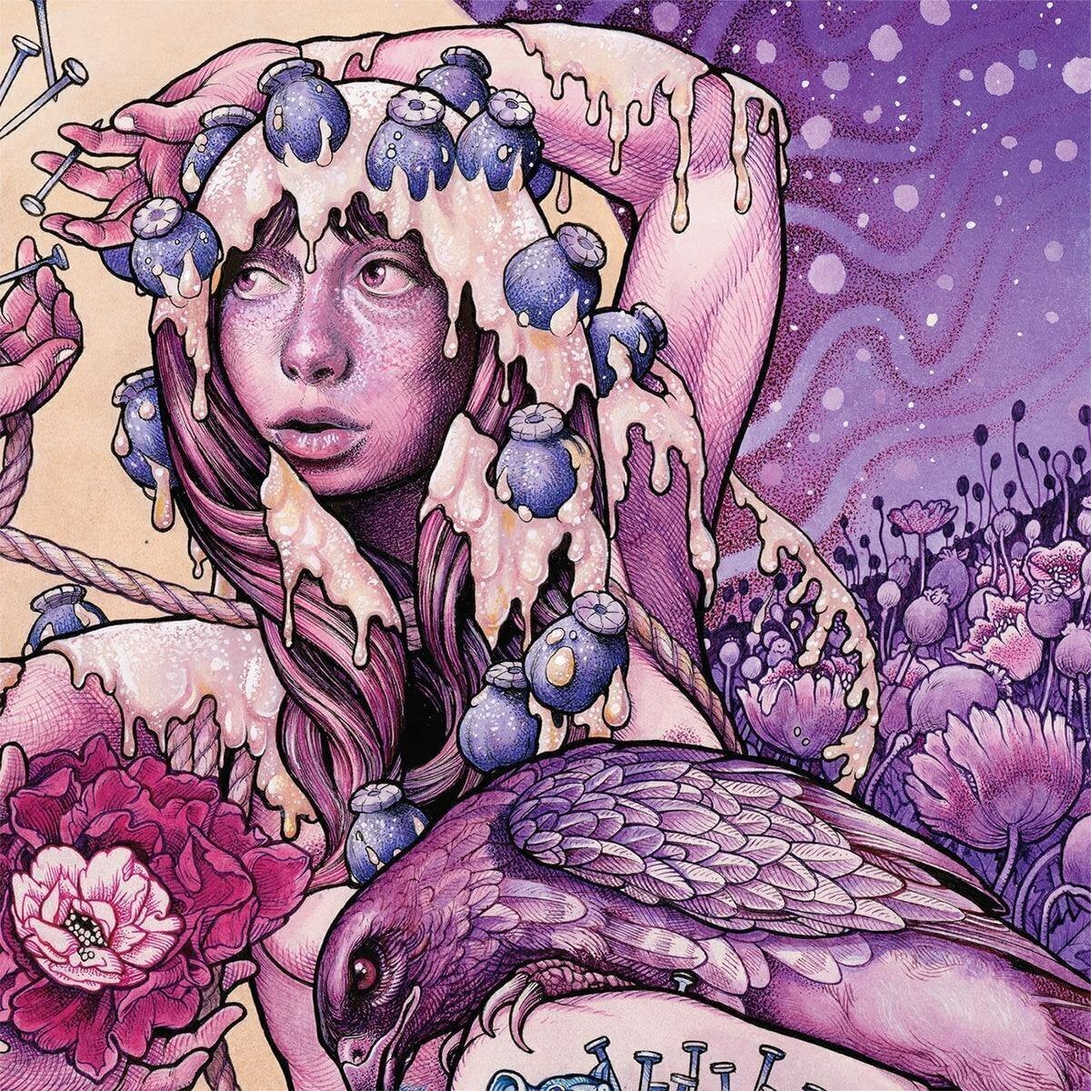 Disco de vinil Baroness - Try To Disappear (LP)