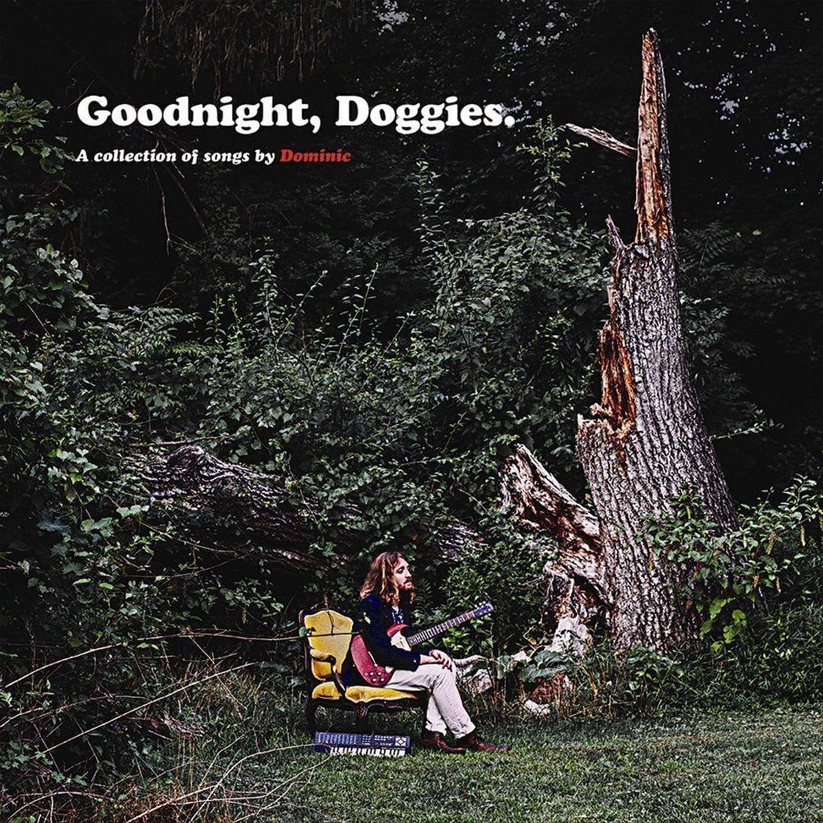 LP platňa Dominic Angelella - Goodnight, Doggies. (LP)