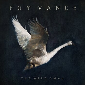 LP ploča Foy Vance - The Wild Swan (LP) - 1
