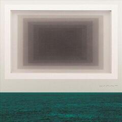 Vinylplate Twin Limb - Haplo (LP)