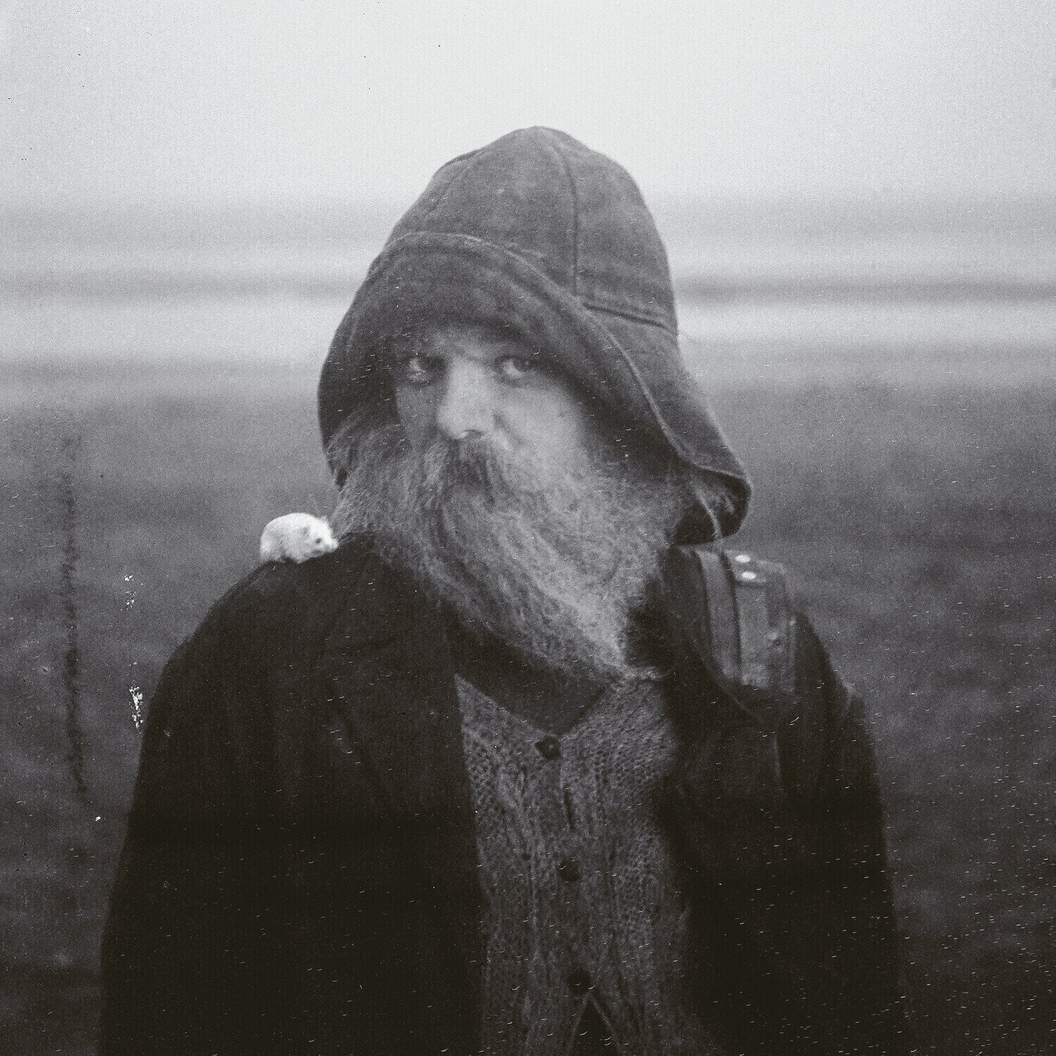 LP plošča Mary In The Junkyard - Role Model Hermit (Indie Exclusive) (Clear Coloured) (LP)