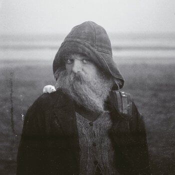 LP plošča Mary In The Junkyard - Role Model Hermit (Indie Exclusive) (Clear Coloured) (LP) - 1