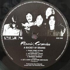 Vinüülplaat The Flamin' Groovies - I'll Have A ... Bucket Of Brains (10")