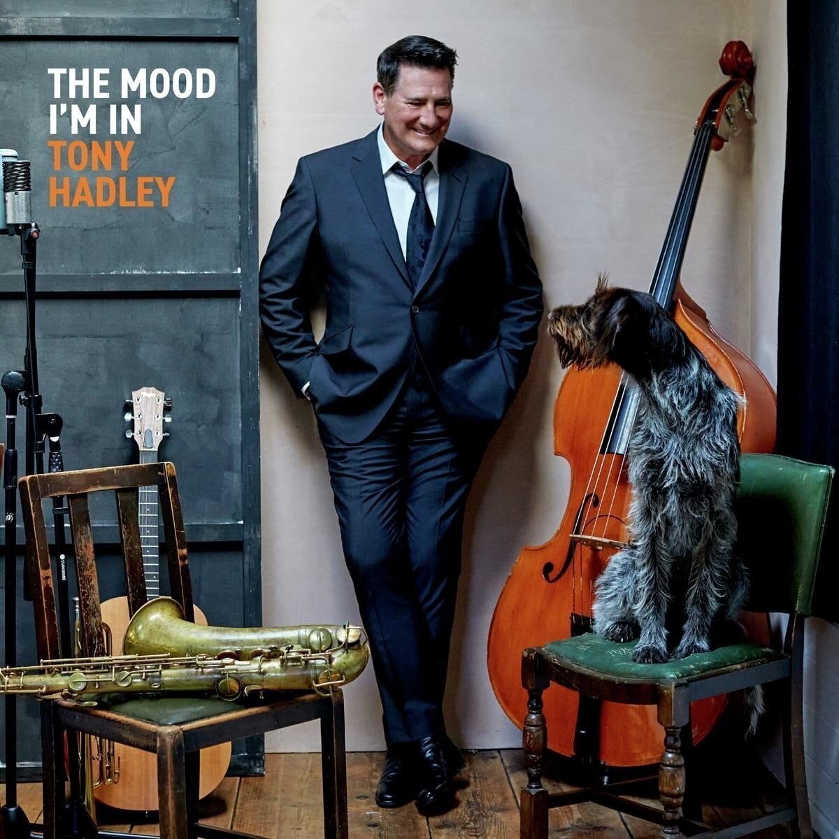 LP platňa Tony Hadley - The Mood I'm In (Cream Coloured) (LP)