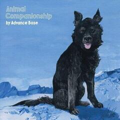 LP platňa Advance Base - Animal Companionship (Coloured) (LP)