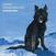 LP ploča Advance Base - Animal Companionship (Coloured) (LP)