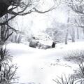 Weezer - Sznz: Winter (Clear Coloured) (LP)